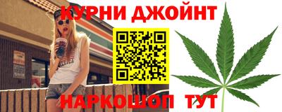 МДПВ Кингисепп