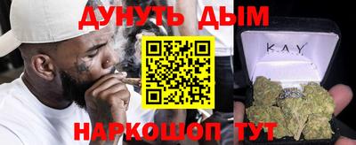 МДПВ Кингисепп