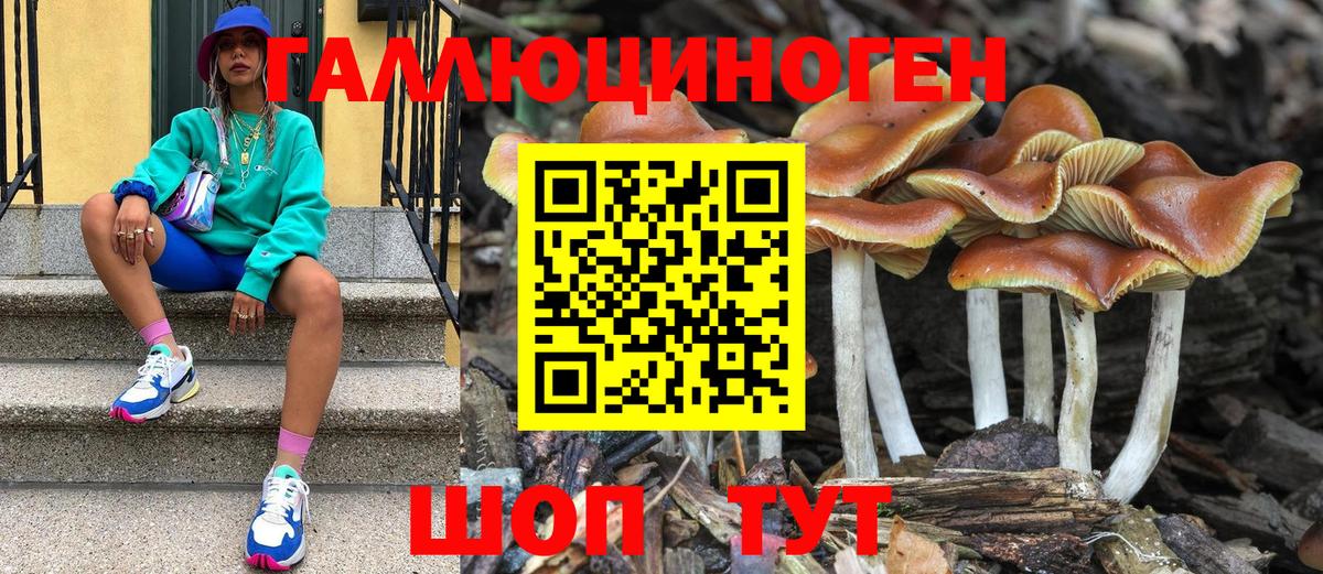 Галлюциногенные грибы MAGIC MUSHROOMS  Вход с VPN  Костомукша  Псилоцибиновые грибы MAGIC MUSHROOMS 